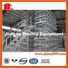H Type Automatic Layer Chicken Poultry Equipment with Best Price